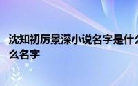 沈知初厉景深小说名字是什么 主角是沈知初厉景深小说叫什么名字