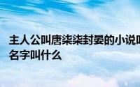 主人公叫唐柒柒封晏的小说叫什么 主角叫封晏唐柒柒的小说名字叫什么