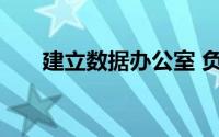 建立数据办公室 负责数据战略的实施