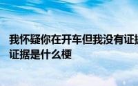 我怀疑你在开车但我没有证据配图 我怀疑你在开车但我没有证据是什么梗