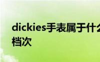 dickies手表属于什么档次 dickies属于什么档次