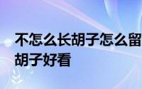 不怎么长胡子怎么留胡子 怎么长胡子 怎么留胡子好看