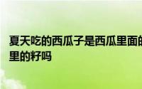 夏天吃的西瓜子是西瓜里面的籽吗 西瓜子是夏天常吃的西瓜里的籽吗