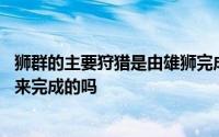 狮群的主要狩猎是由雄狮完成的吗 狮群的狩猎主要是由雄狮来完成的吗