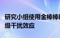 研究小组使用金棒棒糖来观察难以捉摸的纳米级干扰效应