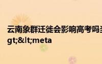 云南象群迁徙会影响高考吗当地会采取哪些措施</title><meta