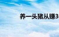 养一头猪从赚3000元到亏千元