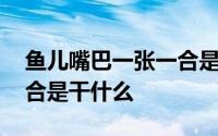 鱼儿嘴巴一张一合是干什么 鱼儿嘴巴一张一合是干什么