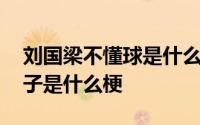 刘国梁不懂球是什么梗 刘国梁不会打球的胖子是什么梗