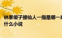 林家傻子接仙人一指是哪一章 《林家傻子接住仙人一指》是什么小说