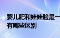 婴儿肥和娃娃脸是一样的吗 娃娃脸和婴儿肥有哪些区别