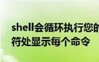 shell会循环执行您的最后一个命令并在提示符处显示每个命令