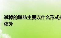 减掉的脂肪主要以什么形式排出 减掉的脂肪以什么形式排出体外