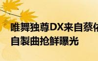 唯舞独尊DX来自蔡依林的独家真情告白全新自製曲抢鲜曝光