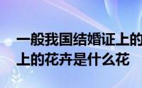 一般我国结婚证上的花是什么花 中国结婚证上的花卉是什么花