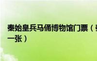 秦始皇兵马俑博物馆门票（秦始皇兵马俑博物馆门票多少钱一张）