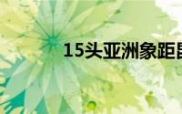 15头亚洲象距昆明仅两三公里