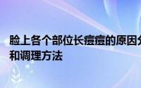 脸上各个部位长痘痘的原因分析 脸上各个部位长痘痘的原因和调理方法