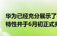 华为已经充分展示了平板电脑MatePad11的特性并于6月初正式亮相