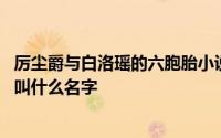 厉尘爵与白洛瑶的六胞胎小说名字 白洛瑶厉尘爵六胞胎小说叫什么名字