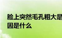 脸上突然毛孔粗大是什么原因 毛孔粗大的原因是什么