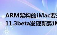 ARM架构的iMac要来了网在macOSBigSur11.3beta发现新款iMac代号