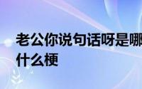 老公你说句话呀是哪里的梗 老公你说句话啊什么梗