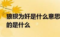 狼狈为奸是什么意思?狼狈为奸中的“狈”指的是什么