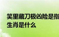 笑里藏刀极凶险是指哪种生肖 笑里藏刀打一生肖是什么