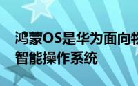 鸿蒙OS是华为面向物网时代推出的全新独立智能操作系统