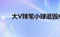 大V辣笔小球诋毁戍边英雄获刑8个月