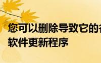 您可以删除导致它的谷歌地球插件或完全删除软件更新程序