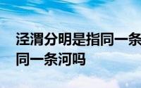 泾渭分明是指同一条河流吗 泾渭分明指的是同一条河吗