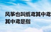 风筝也叫纸鸢其中鸢是指燕子 风筝也叫纸鸢 其中鸢是指