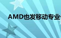 AMD也发移动专业卡诡异“汤加”核心