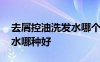 去屑控油洗发水哪个效果好 去屑控油的洗发水哪种好