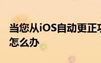 当您从iOS自动更正功能中获得不当建议时该怎么办