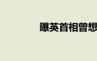 曝英首相曾想接种新冠病毒