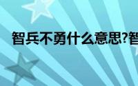 智兵不勇什么意思?智兵不勇典故出处介绍