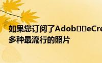 如果您订阅了Adob​​eCreativeCloud则可以访问市场上多种最流行的照片