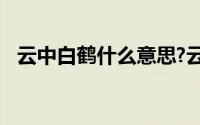 云中白鹤什么意思?云中白鹤典故出处介绍