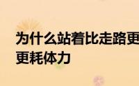 为什么站着比走路更耗体力 走路和站着哪个更耗体力