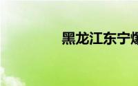 黑龙江东宁爆炸致8死4伤