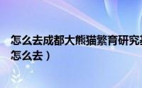 怎么去成都大熊猫繁育研究基地（成都大熊猫繁育研究基地怎么去）