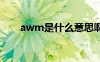 awm是什么意思啊 awm是什么意思