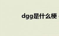 dgg是什么梗 ggad是什么梗