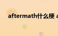 aftermath什么梗 aftermath是什么梗