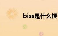 biss是什么梗 biss是什么梗