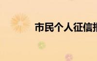 市民个人征信报告现侮辱字眼