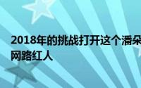 2018年的挑战打开这个潘朵拉盒子只要1个月就能让你变成网路红人